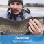 Алексей Сажин